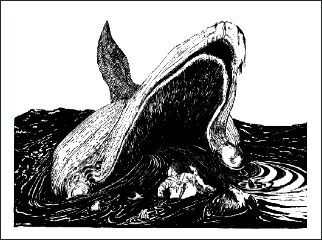 how the whale got his throat